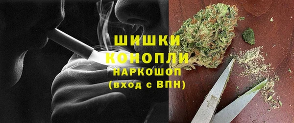 твердый Аркадак