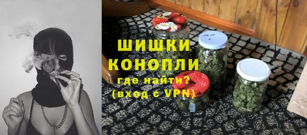твердый Арсеньев