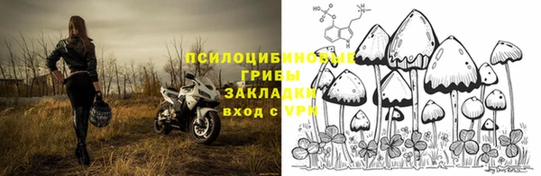твердый Арсеньев