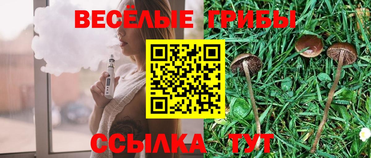 Протвино  Галлюциногенные грибы ЛСД  Галлюциногенные грибы Magic Shrooms  Вход с VPN 