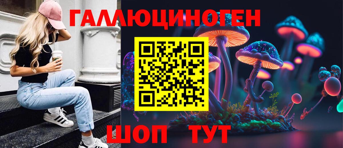 Псилоцибиновые грибы Psilocybe Протвино