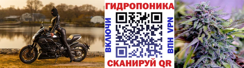 Бошки Шишки план Протвино